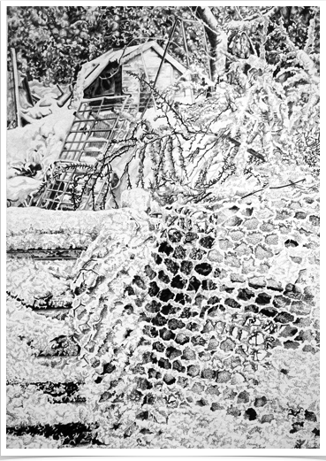 Winter Netting, Buxton
pencil on paper
28 x 38 cm